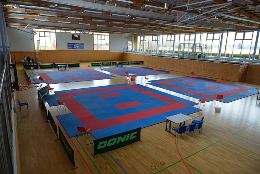 International Open WKC Championships — Feldkirchen 2014