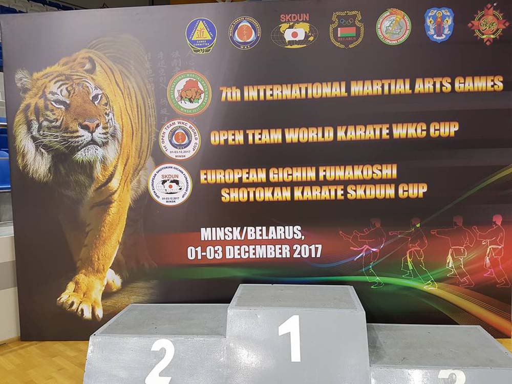 7th International Martial Arts Games — Minsk 2017